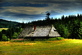 Hut, nature, spring, forest HD wallpaper