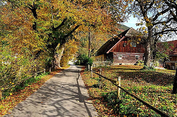 Farmhouse at Saint Peter on the Bichl., path, house, fall, fence, autumn, farm, road, tree HD wallpaper