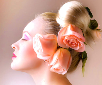 Roses, sexy, girl, model HD wallpaper