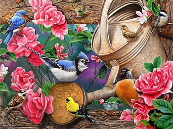birds paradise, garden, nature, birds, bird HD wallpaper