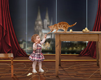 A touch of friendship, kitten, nice cool, graphy, kitty, baby, cat, cute kid, animals, funny, humor, , cute child HD wallpaper