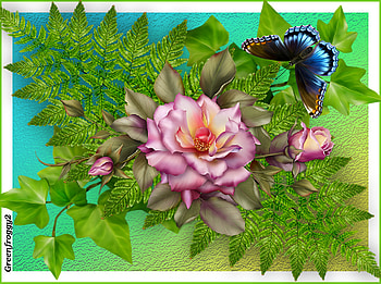 BUTTERFLY AND ROSES, ART, ROSES, BUTTERFLY, ABSTRACT HD wallpaper