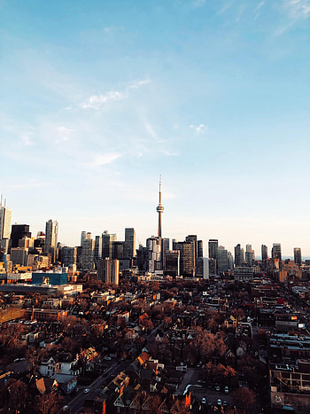 Cities, City, Skyscrapers, Tower, Roof, Roofs HD phone wallpaper