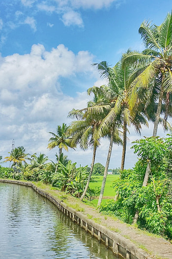 Kuttanad ferry, Kerala HD phone wallpaper