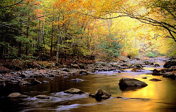 Landscape, Nature, Rivers HD wallpaper