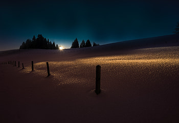 Winter, Nature, Trees, Night, Snow, Shine, Light HD wallpaper