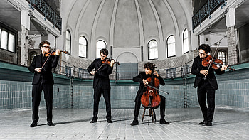 Chamber music, Basel ensemble, String quartet, Harmonious melodies HD wallpaper