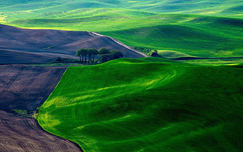 Land, gras, nature, lamdscape, tree HD wallpaper