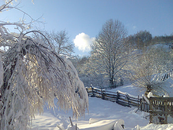 sun, snow, trees, blue sky, beautiful, blue sky, snow, trees, beautiful, sun HD wallpaper