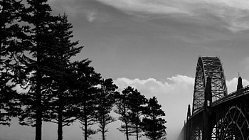 crossing yaquina bay in oregon, fog, bay, trees, bridge, bw HD wallpaper