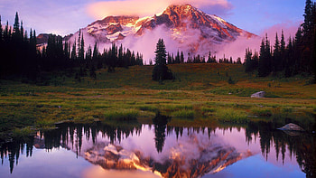 Golden Mountain, purple, fog, sky, forest, lake, mountain HD wallpaper