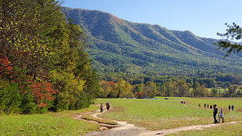 Great Smoky Mountains, National Park, Vacation rentals, Cabin rentals HD wallpaper