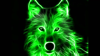 Amazing Cool & Background - Wolf Neon Cool Background - -, Cool Neon Wolves HD wallpaper