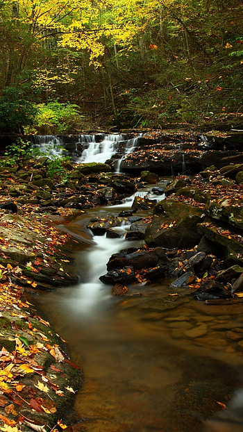 Virginia state , , , Themes HD phone wallpaper