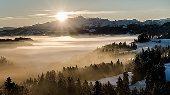 Snow Covered Mountains Trees With Fog Sunrays Background Nature HD wallpaper