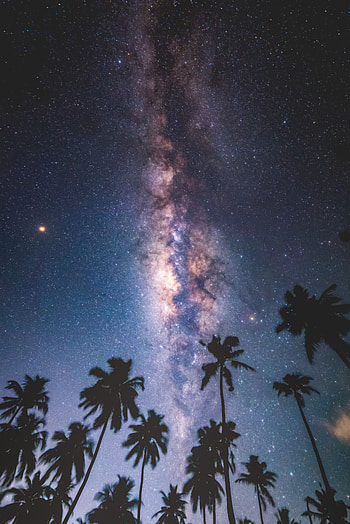 Nature, Stars, Night, Palms, Starry Sky, Milky Way, Maldives HD phone wallpaper