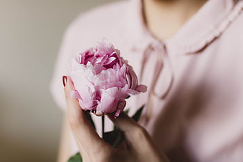 Close-up of a woman gently holding a pink peony flower, showcasing softness and elegance. HD wallpaper