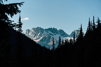 Mountains, national park, forest, Canada HD wallpaper