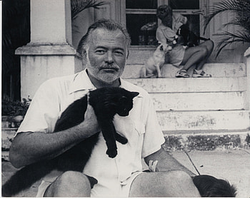 PBS documentary, Ernest Hemingway, Macho man, Hemingway's truth HD wallpaper