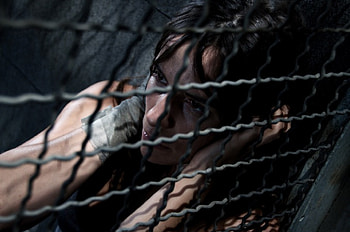 Trapped, wondering, In, alone, captivity HD wallpaper