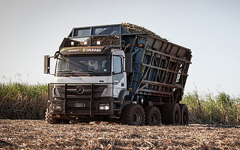 Mercedes-Benz Axor 3131 8x4, offroad, 2022 trucks, BR-spec, LKW, cargo transport, 2022 Mercedes-Benz Axor, Mercedes HD wallpaper