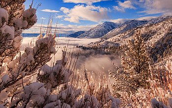 Mountain Winter Inversion Dream, fog, mountains, snow, clouds, trees, sky HD wallpaper