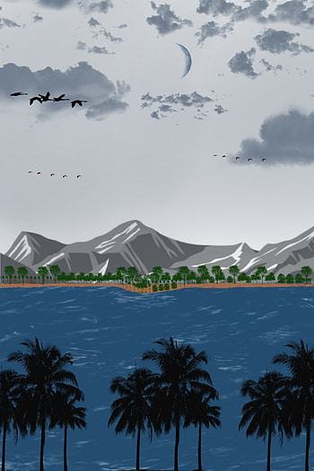 Lake, Drawing, Sky, Beach, Landscape, Night, Coconut, Ocean, Tree HD phone wallpaper