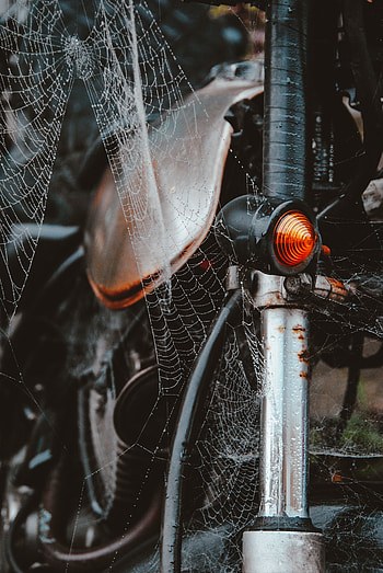 Web, Miscellanea, Miscellaneous, Wet, Motorcycle, Intricate, Confused, Dew HD phone wallpaper