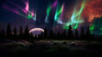 Night sky, digital, planet, lights, landscape, stars, sky, aurora, night, trees, nature HD wallpaper