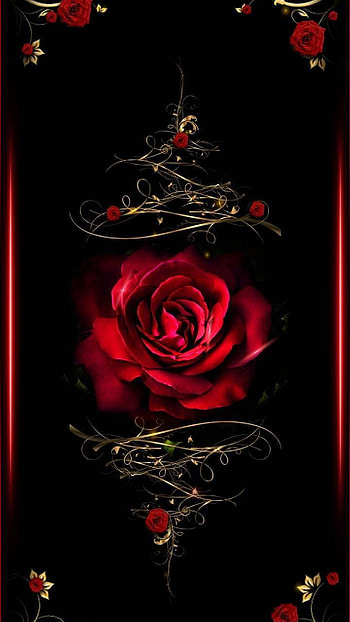 Red Rose, red rose, artistic, rose HD phone wallpaper