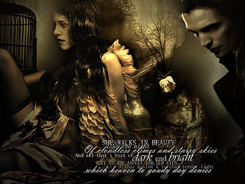 Twilight Saga, movies, twilight, edward, bella HD wallpaper
