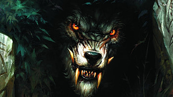 Werewolf - Digital Art - HD wallpaper