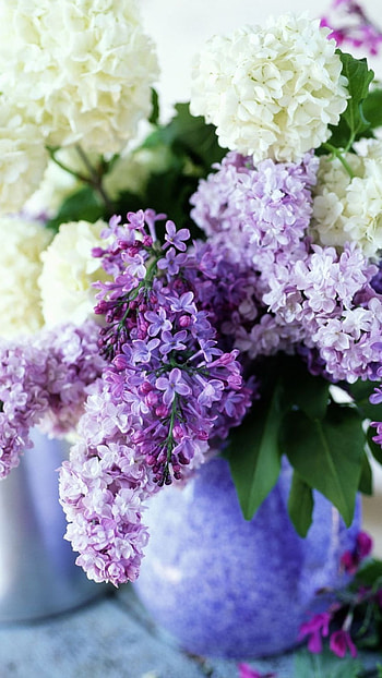 Lilac, Flowers, Lilac Flowers HD phone wallpaper