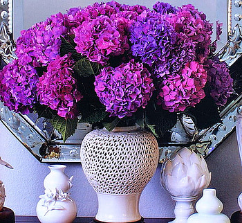 Purple in white, purple, white, vase, flowers, hydrancea HD wallpaper