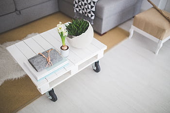 Cozy living room featuring a white pallet table, plants, and books for a minimalistic touch. HD wallpaper