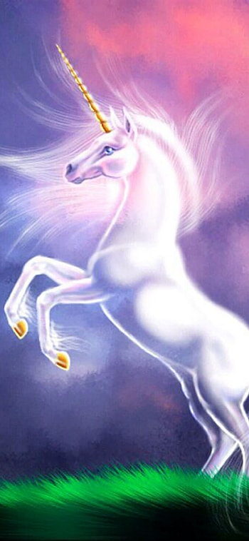 Best unicorn backgrounds, Stunning visuals, Unicorn magic, Fantasy realms HD phone wallpaper
