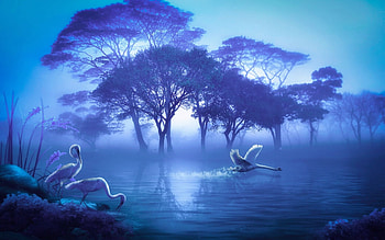 Blue Lake Fantasy, blue, softness, birds, cranes, fantasy, scenic, Lake, trees, calm, lovely, graceful HD wallpaper