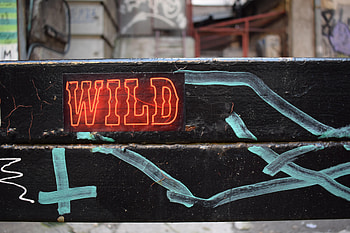 Words, Neon, Inscription, Wild HD wallpaper