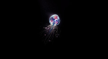 Minimal, colorful, jellyfish HD wallpaper