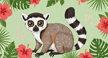 Charming Lemur: Ultra for Nature Lovers, lemur, animal illustration, cute animals, hibiscus HD wallpaper