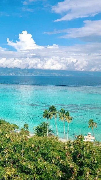 Moorea, French Polynesia, Beach vacations, Tropical paradise HD phone wallpaper