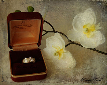 A Golden Ring, still life, white orchids, texture, flowers, golden ring HD wallpaper