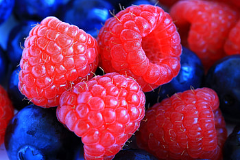 Raspberry, Macro, Berry, Cowberry, Lingonberry HD wallpaper