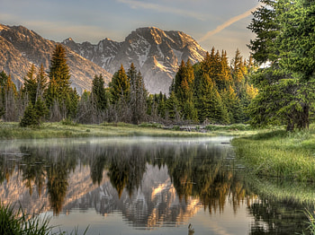 Relaxing nature, nature, reflection, lake, tree HD wallpaper