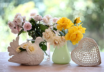 Flowers, Roses, Heart, Dove, Variety, Diversity HD wallpaper