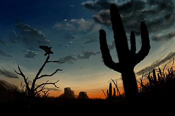 Art, Twilight, Silhouette, Bird, Predator, Dusk HD wallpaper
