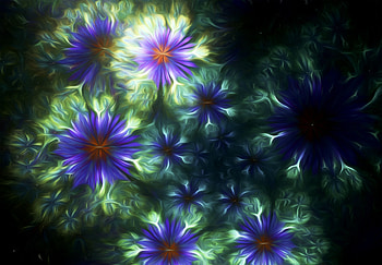 Abstract, Flowers, Patterns, Dark, Fractal HD wallpaper