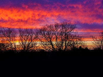 Trees, Sunset, Sky, Twilight, Dark, Silhouettes, Dusk HD wallpaper