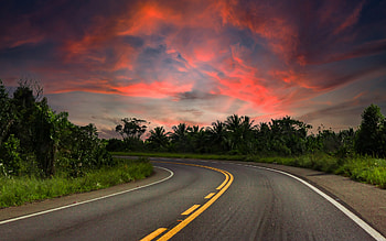 sunset, asphalt road, turn, palm trees, path concepts, road, evening HD wallpaper