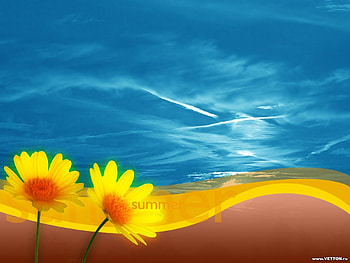 Flowers, Sky HD wallpaper